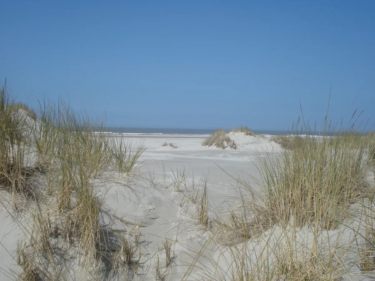 Opnieuw boeken? Boek rechtstreeks en profiteer!-image