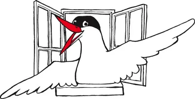 Gebruiks- aanwijzingen-image