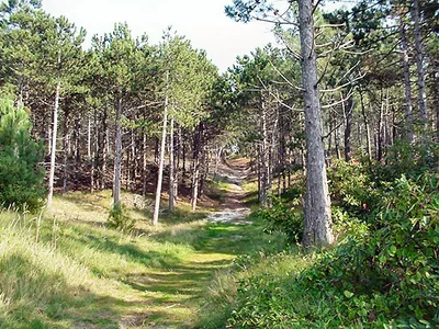  Green Option geen hotel service -image