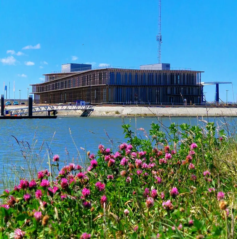          Onze tips in de buurt-image