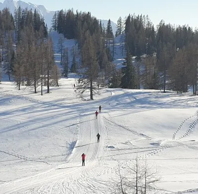 Langlaufen-image