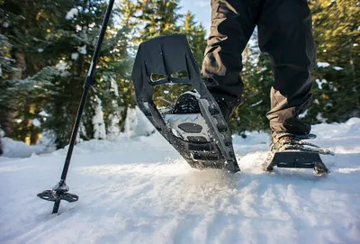 Sneeuwschoen wandelen-image