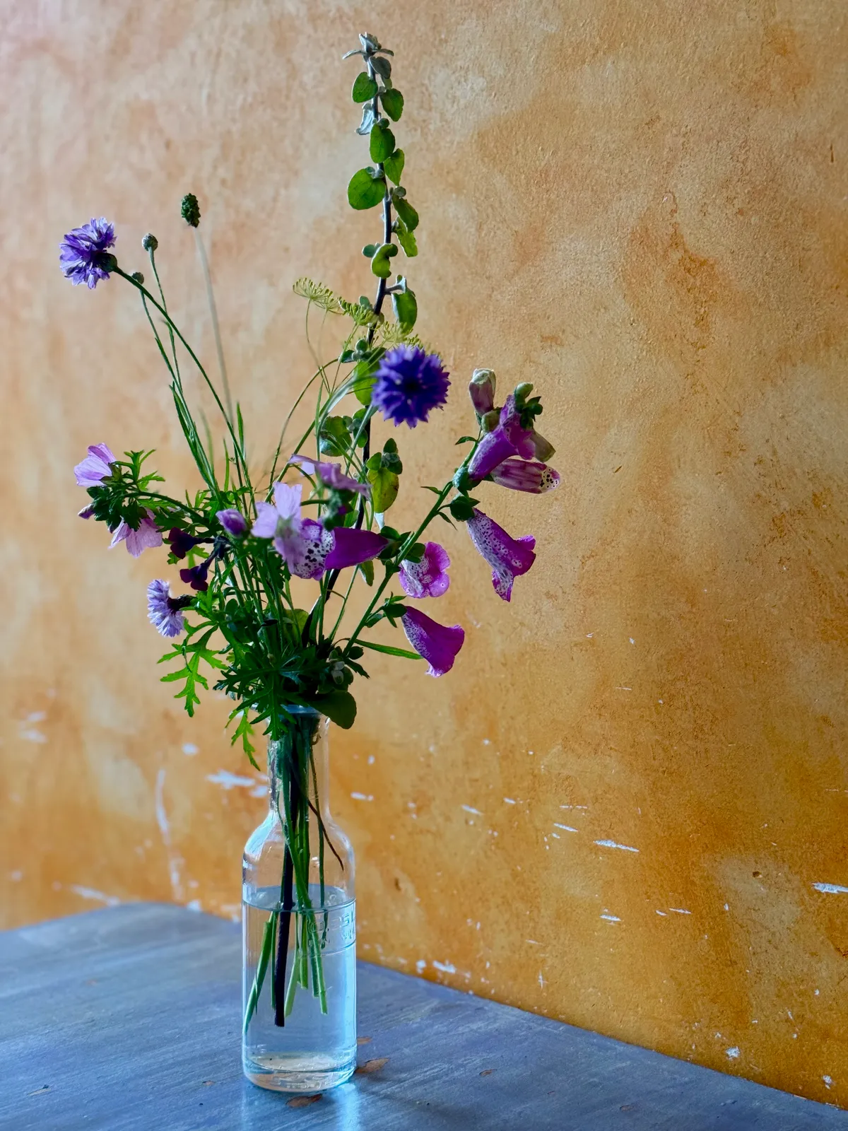 Contact & Route-image