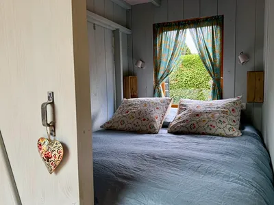 Guest Revieuws-image