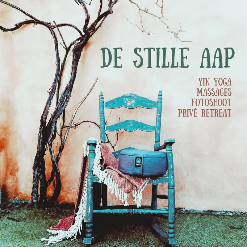 Praktijk "De Stille Aap"-image