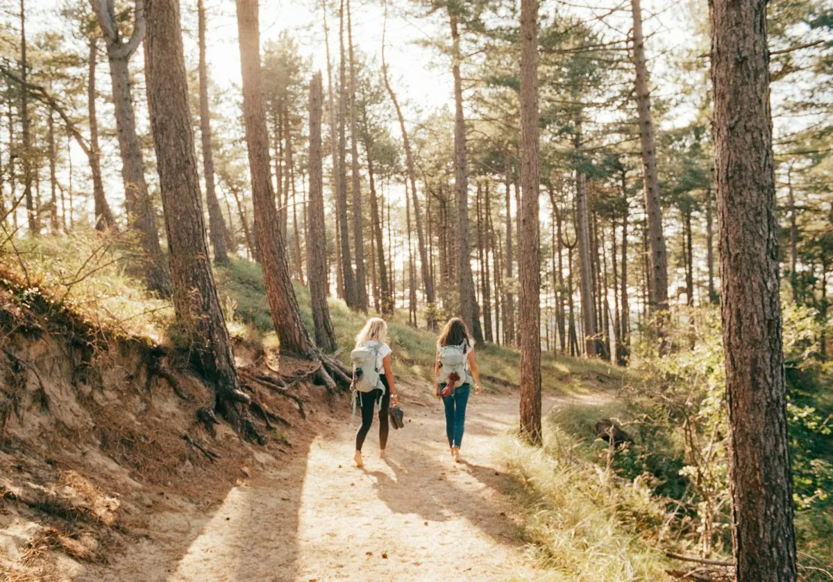 Wandelroutes -image