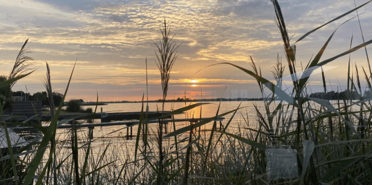 Vooraf Regelen, actie gevraagd-image