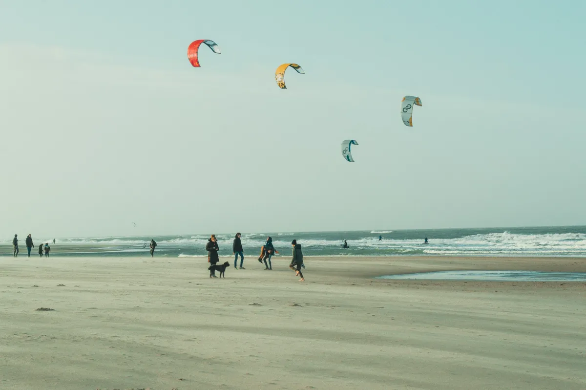 Windfinder-image