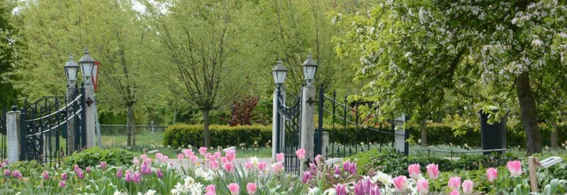 De Zeeuwse Bloembollenroute 2026.  17-18 April-image