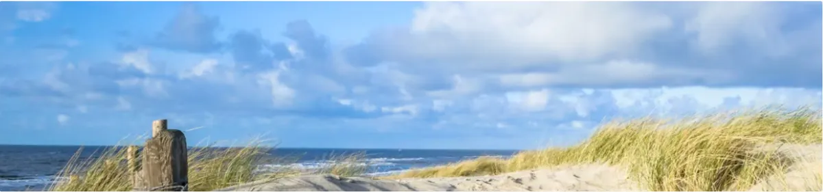 Er op uit in de omgeving!-image