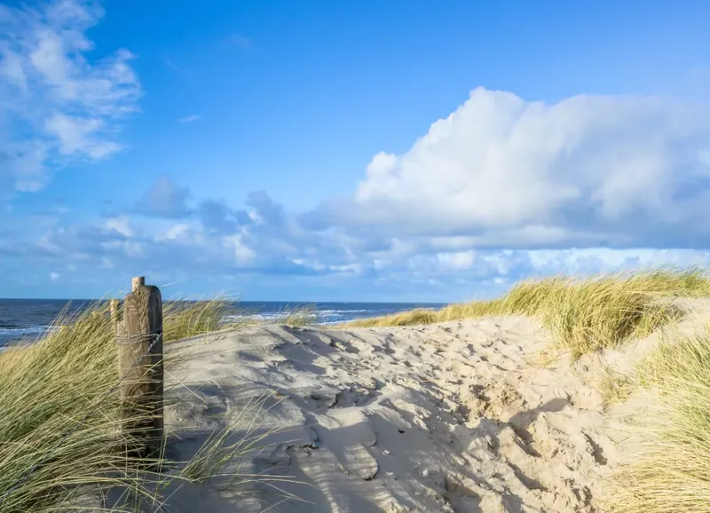 Tips in de omgeving-image