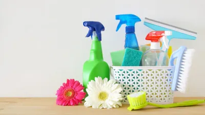 - Vertrek Say and Stay-image