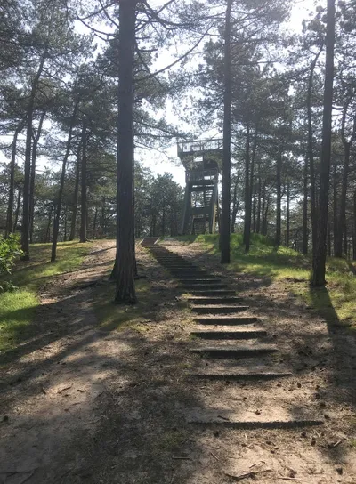 Naar buiten?-image