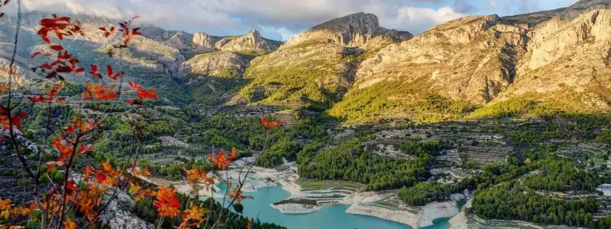 Tickets & Tours-image