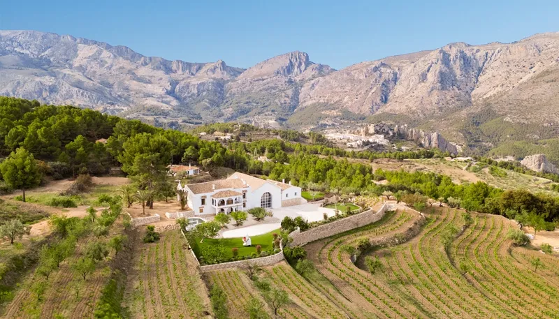 Wijnproeverijen en Tapas Tours-image